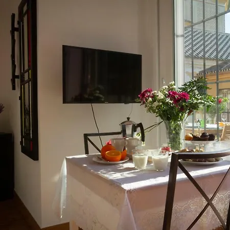Fresh, Relax & Sun Historic Center Appartement *