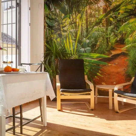 Fresh, Relax & Sun Historic Center Apartment *